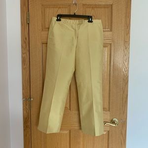 Ann Taylor Pants